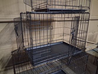 M kennel