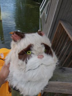 Cat Moving Mouth Mask