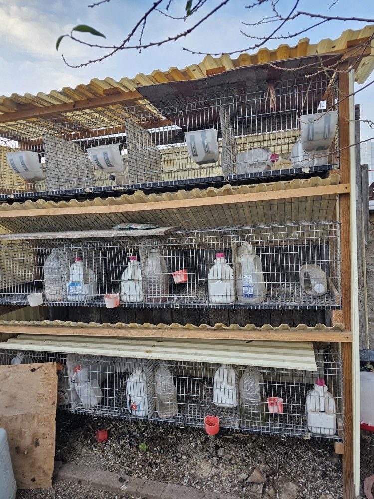 12 Cages Rabbit,chicks, Pigeons