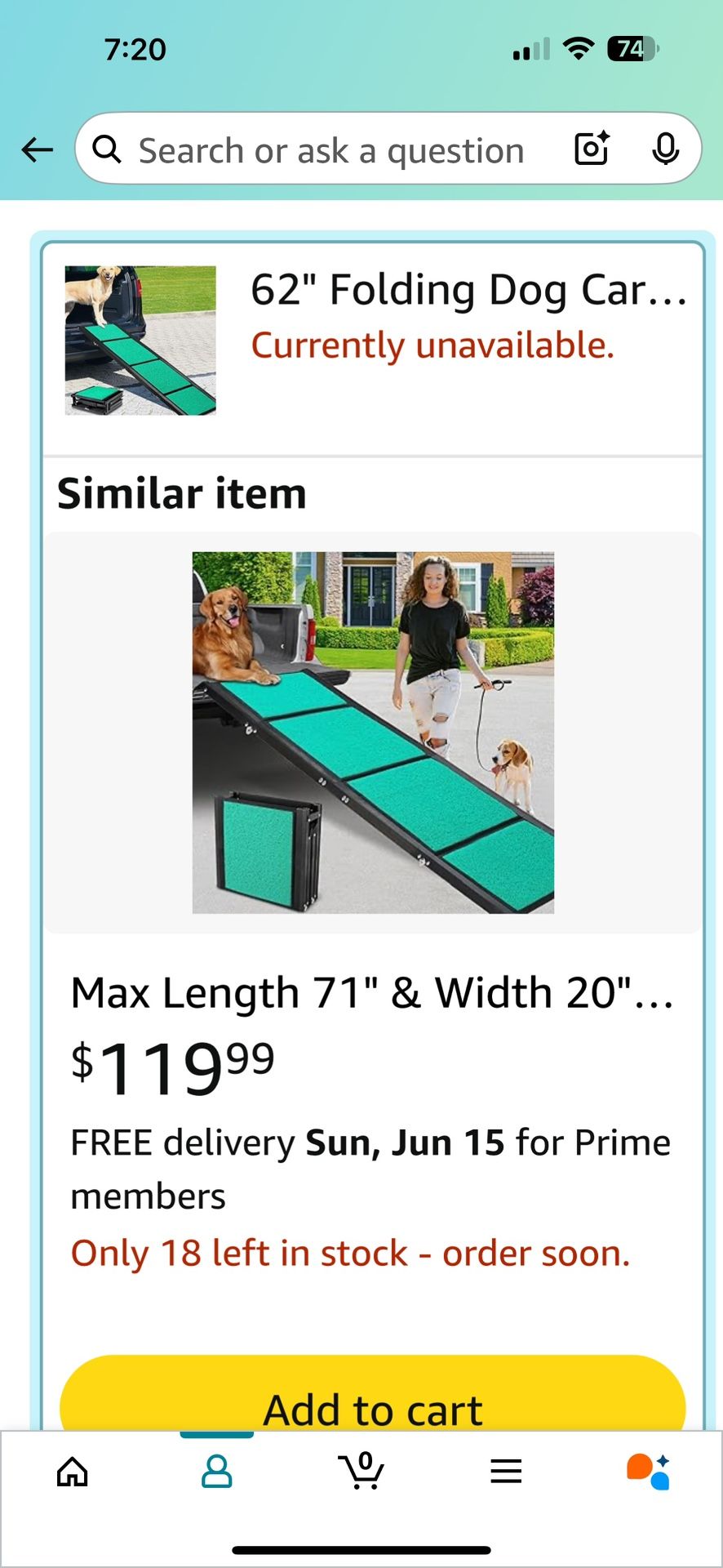 Large Dog Ramp