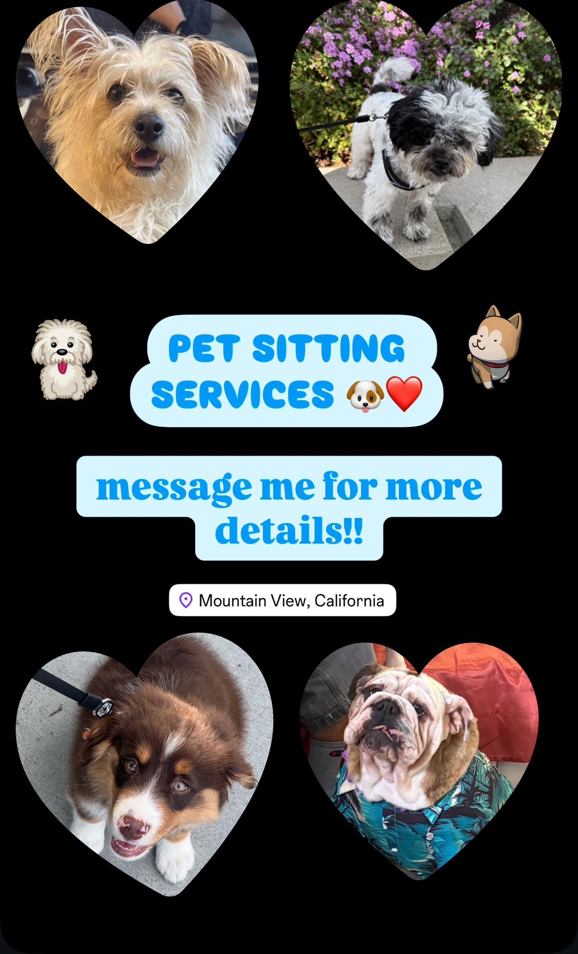 message me for more details !