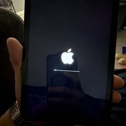 iPad Mini 6th Generation 256gbs WiFi Space Gray 