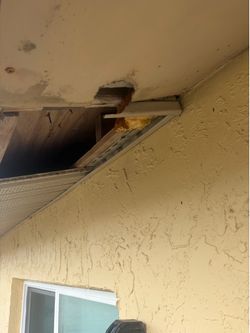 Soffit