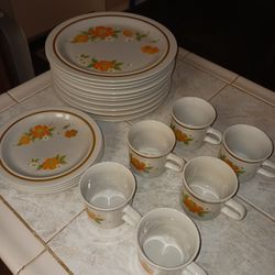 Vintage Hallkraft Styled by Mikasa - Splendrous pattern - Artisan Plates & Coffee Cups