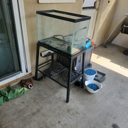 20 Gallon Tank With Pump and Rocks 