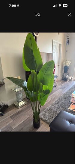 Pretty artificial plant 5 ft tall