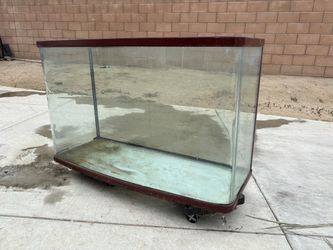 Large Bow Front Glass Aquarium Tank