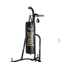 Punching Bag And Stand 