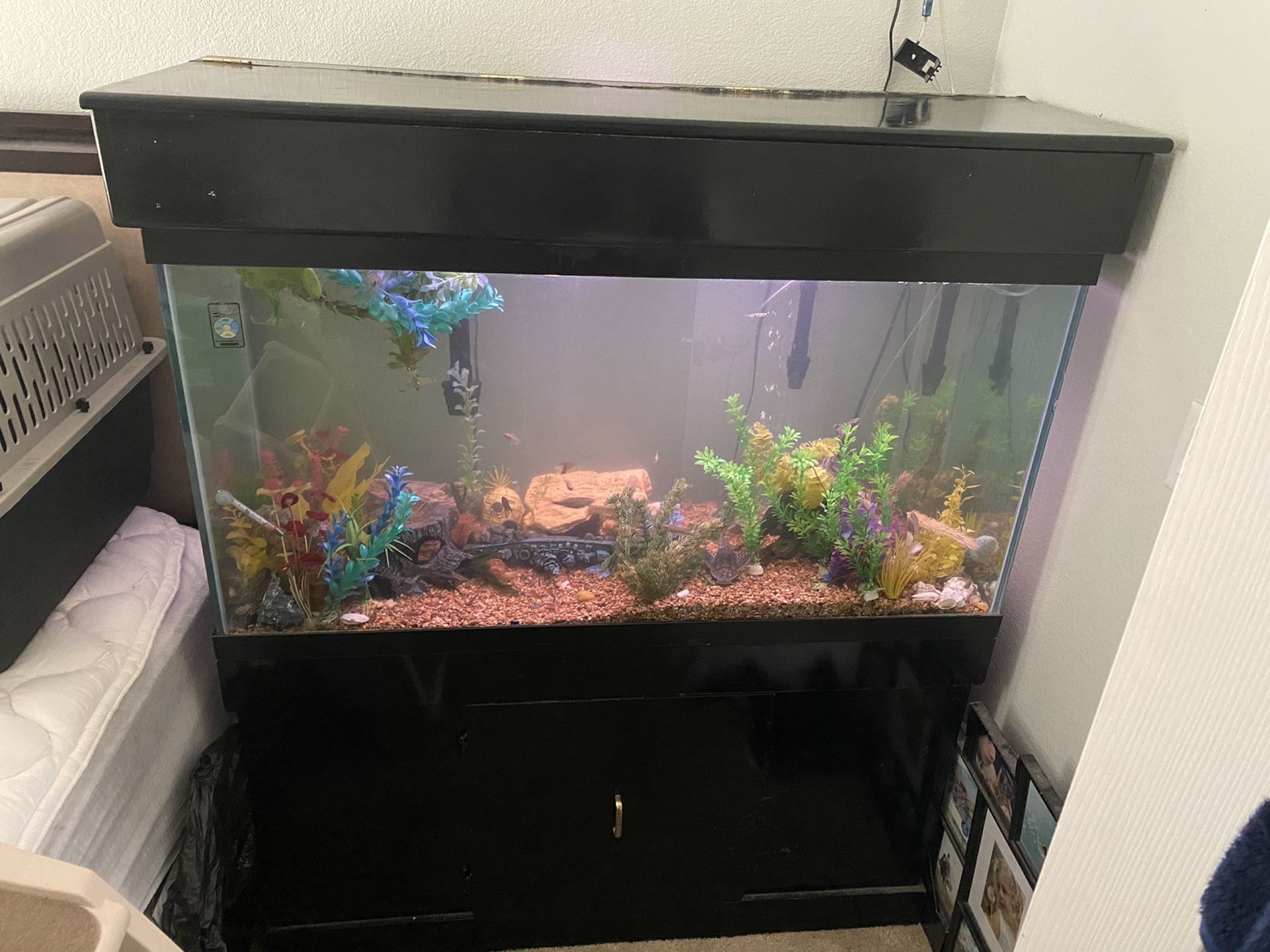 90 Gallon Fish Tank Fully loaded with Stand