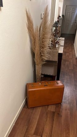 Real pampas with glass vase and vintage suitcase,