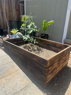 Planter Bed