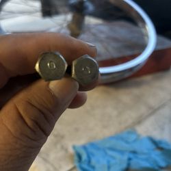 Schwinn Q-Bolts 