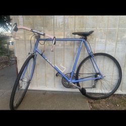 Vintage Trek Road Bike (82-83yr)