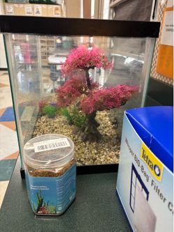 Fish tank & Supplies