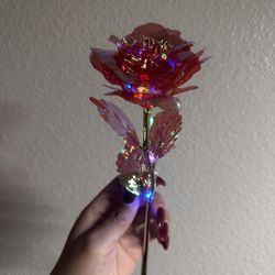 Light Up Rose 