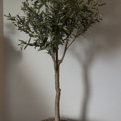 6.5’ Faux Olive Tree With Concrete Pot And Spanish Moss 