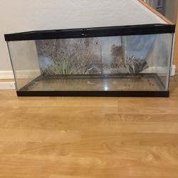 Reptile Tank