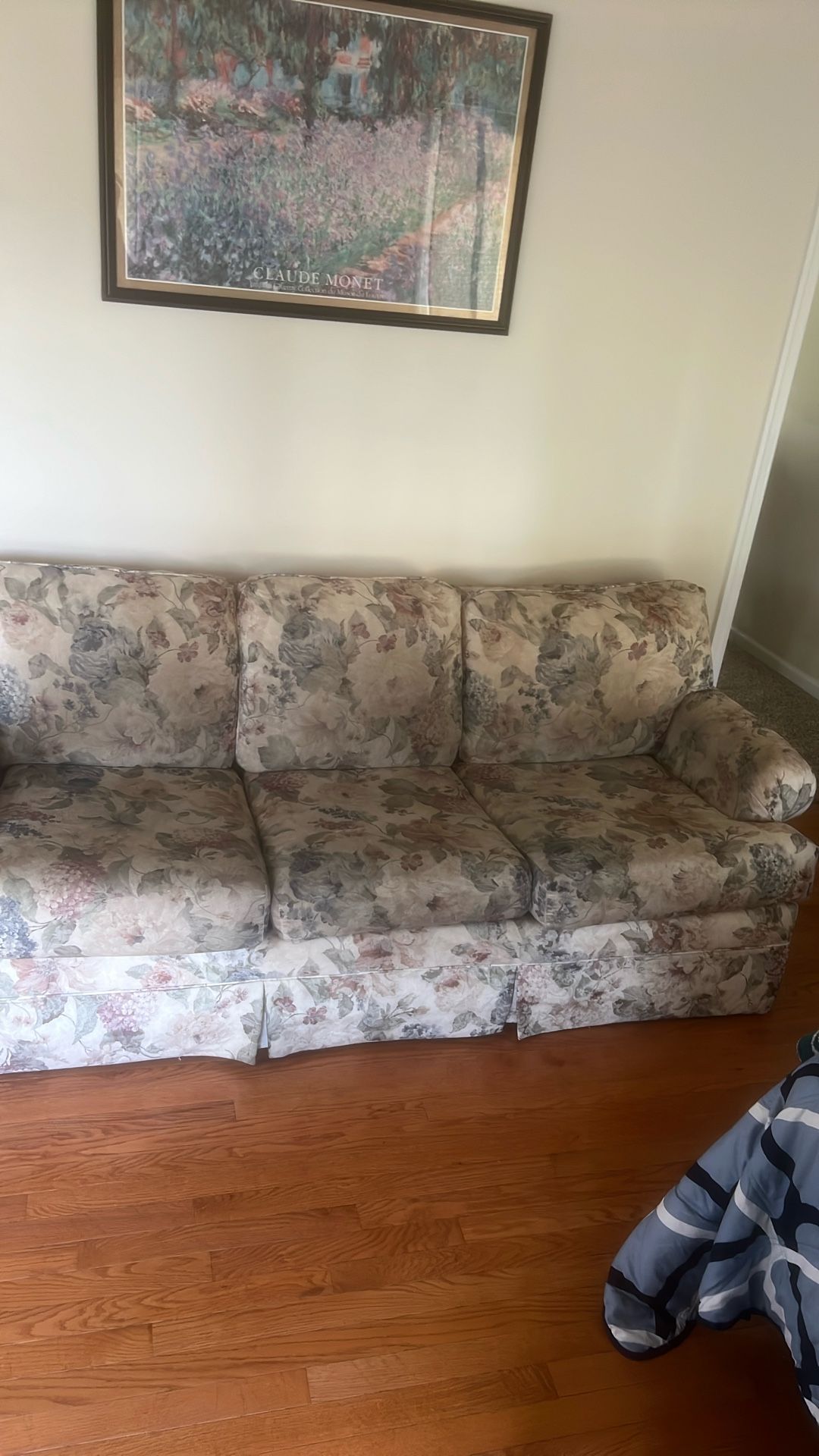 sleeper sofa