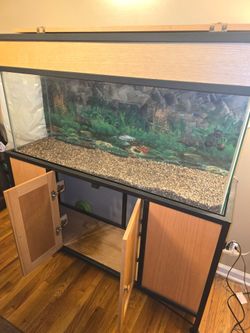 Fish 🐟 Tank With Wooden Cabinet Underneath Storage