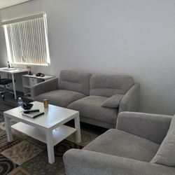 Grey Cozy Couch With Chair