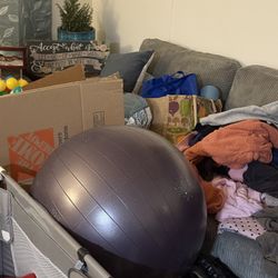 Giant Purple Yoga Ball