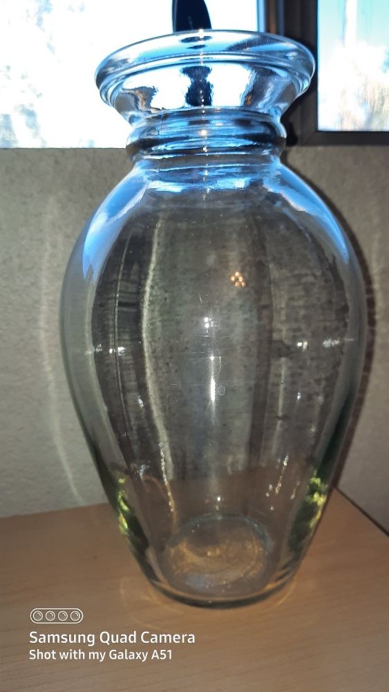 GLASS VASE