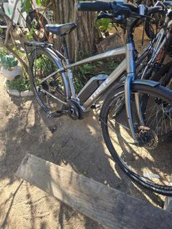 Trek verve+