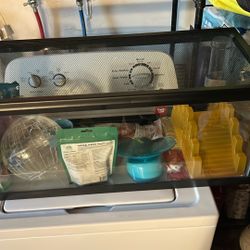Hamster Set Up