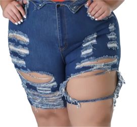 Plus Size Distressed Denim Shorts
