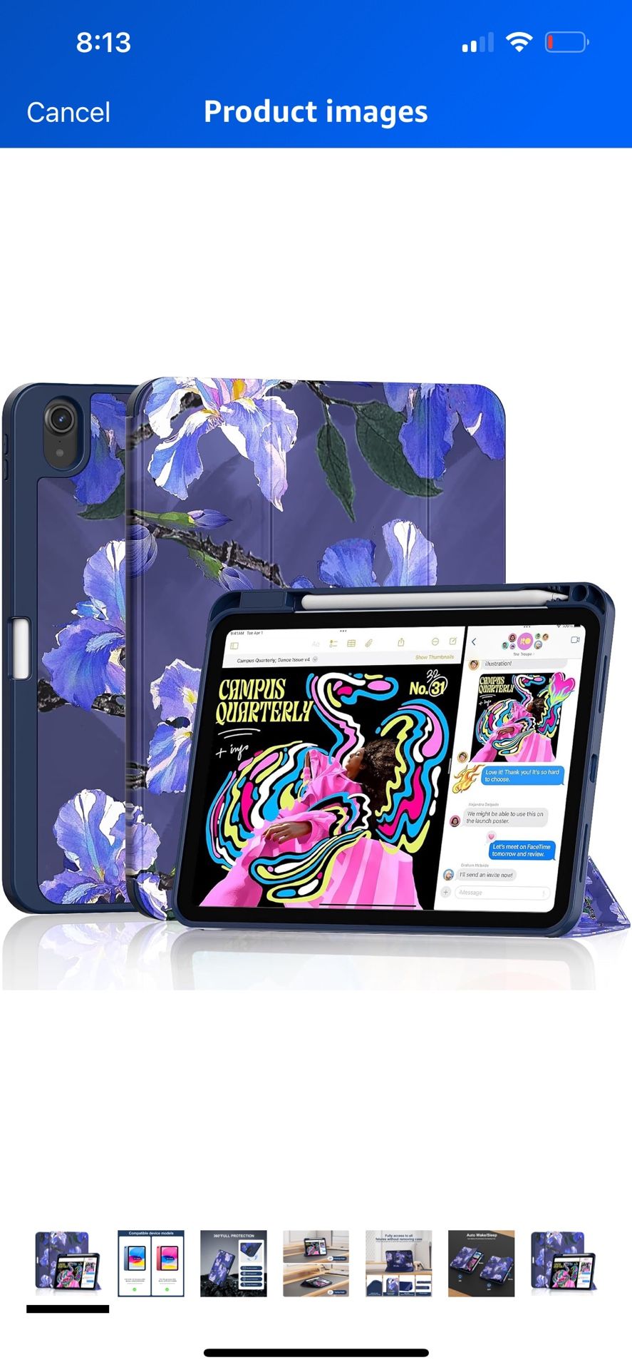 iPad Case