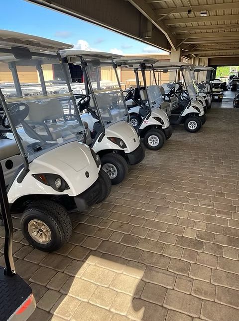 Yamaha Drive 1 48 volt- Glacier 