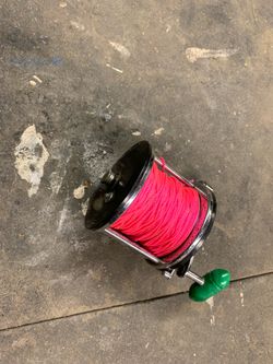Pan Long Beach reel