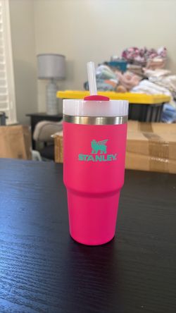 Mini Neon Pink/Green Stanley