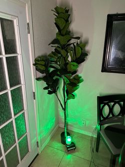 Large Artificial Fiddle Leaf Fig Tree LVerse