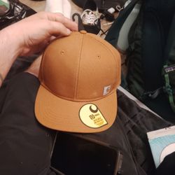 (Brand New) Carhartt Force Snap Back