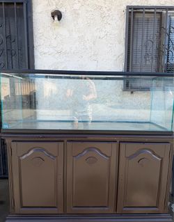 Vizio 60 gallons Fish Tank
