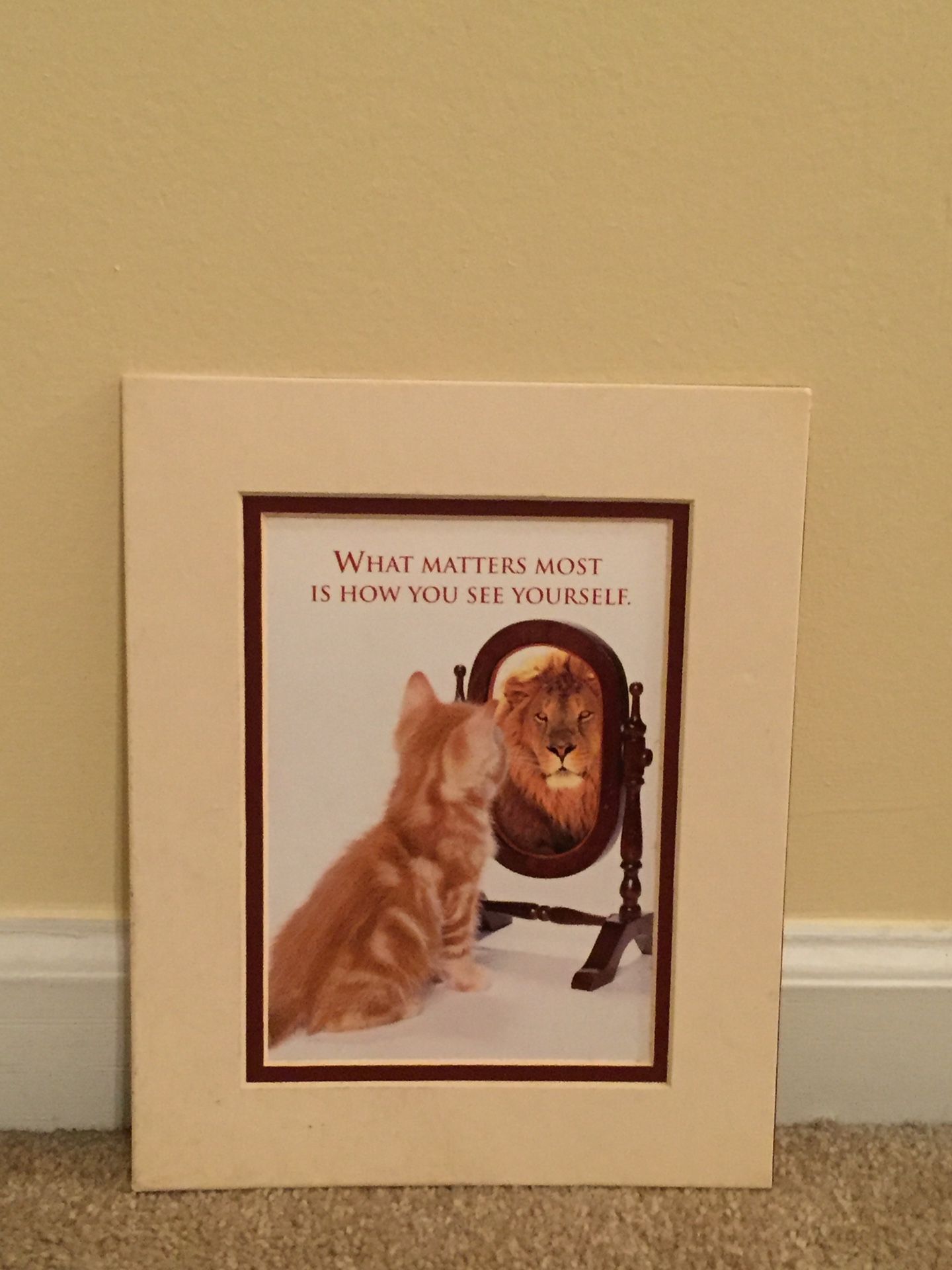 Cat print
