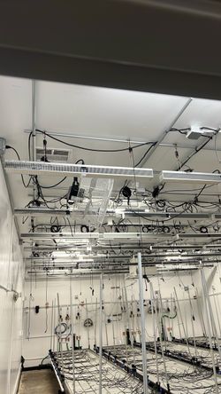 Fluence Bioengineering LED Grow Lights