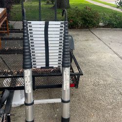 Telescopic Ladder 