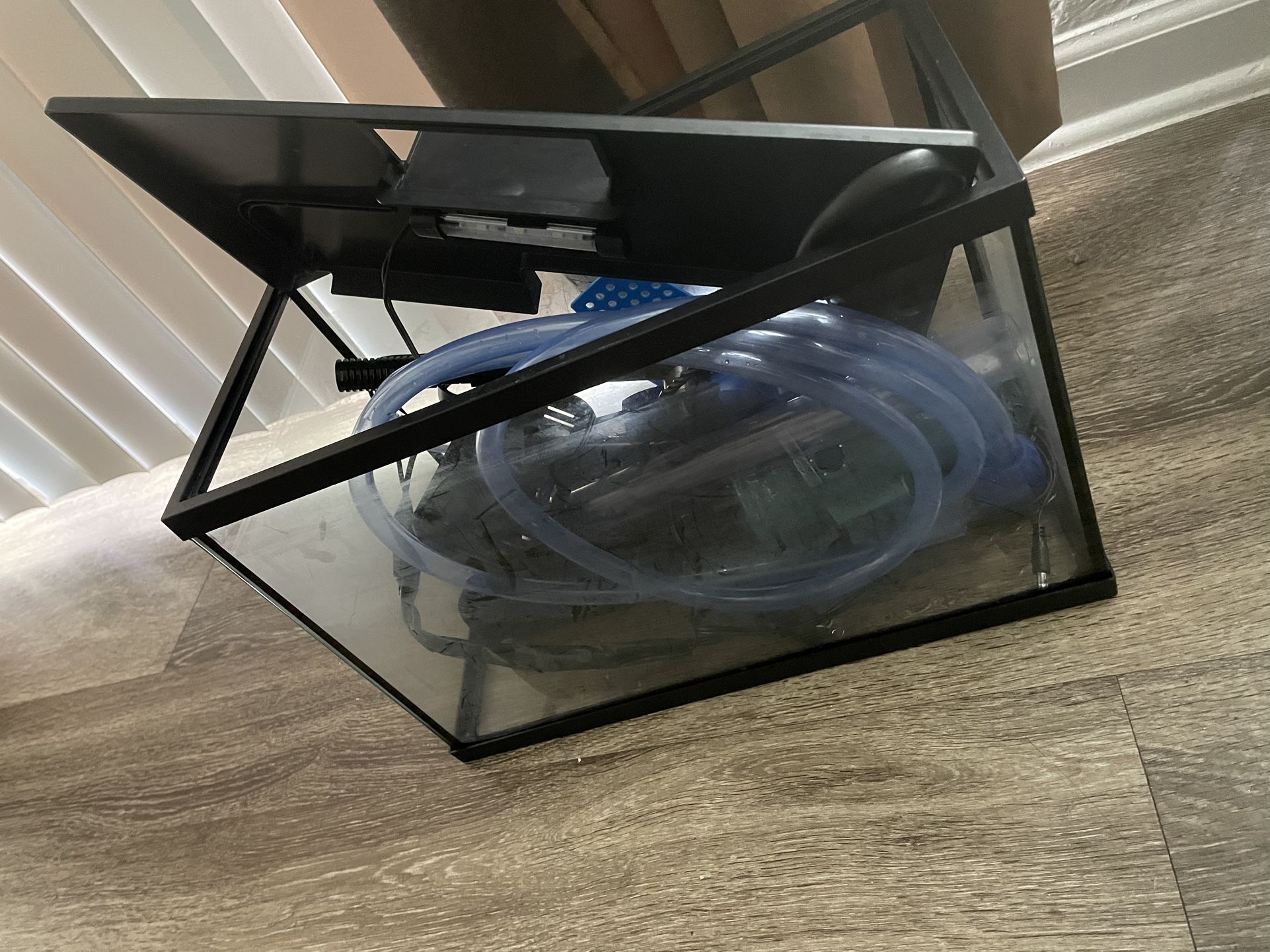 Fish Tank
