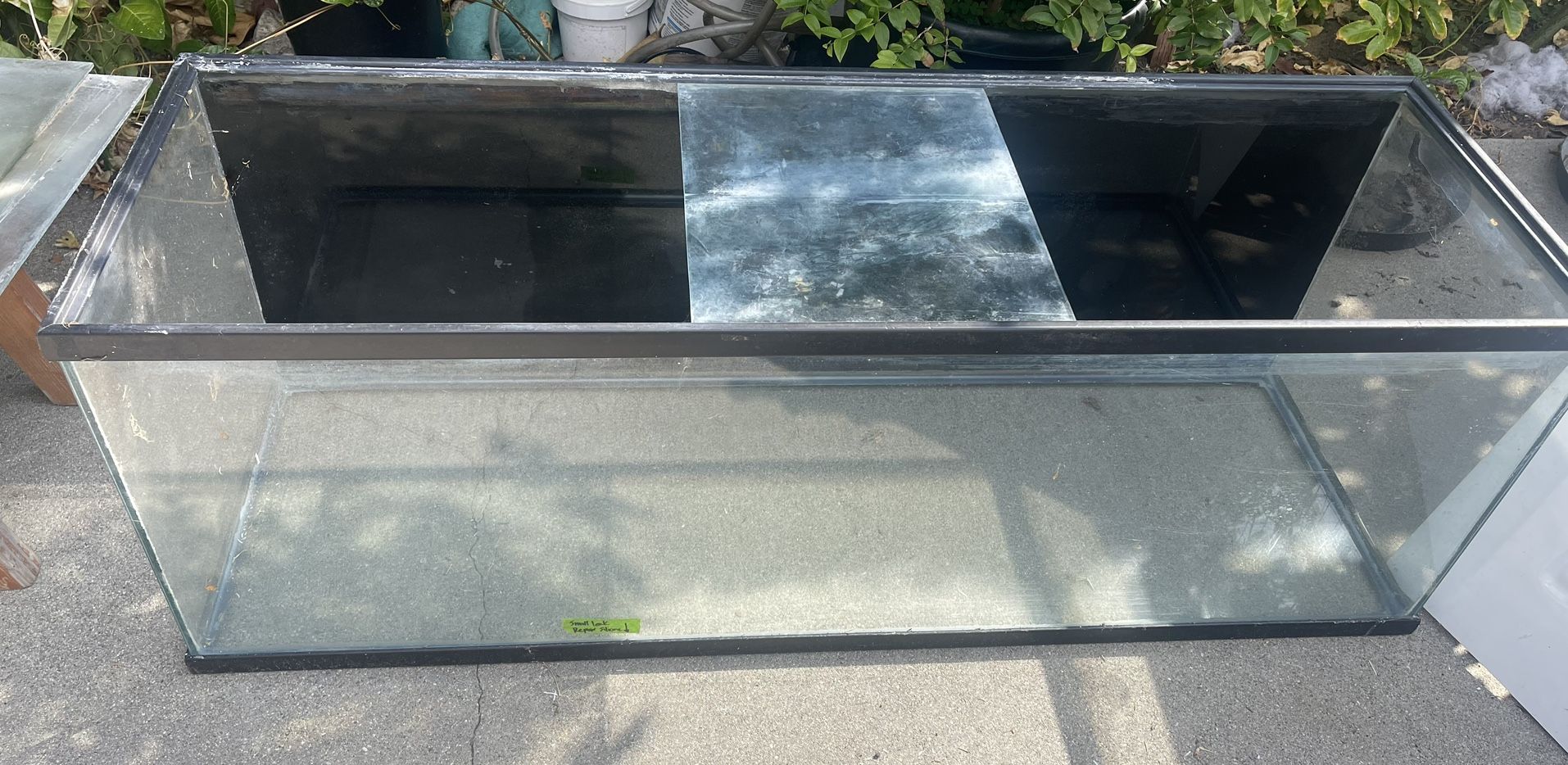 Free Fish/Reptile tank