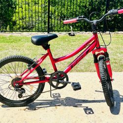 20 Inch Bike for 4 to 6 yr Girl 