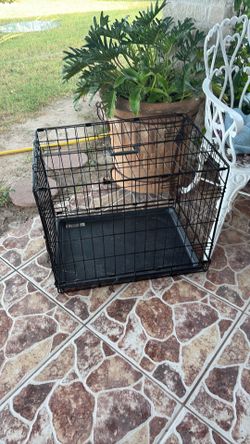Jayla para perros nuevecita mediana