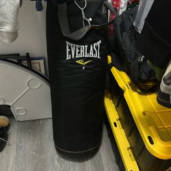 Punching Bag