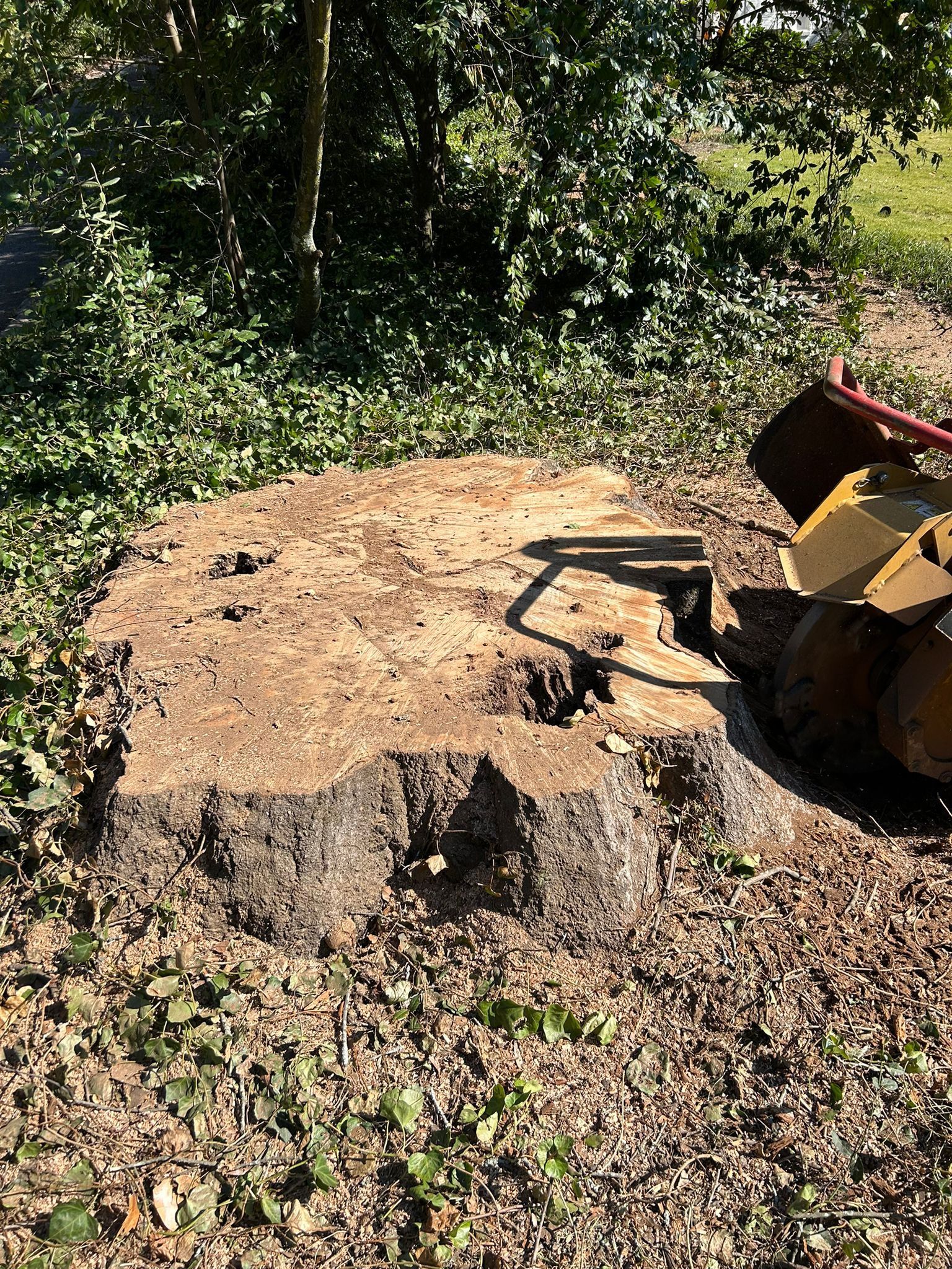 Stump Grinding 