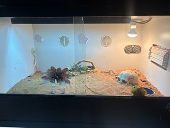 Reptile tank