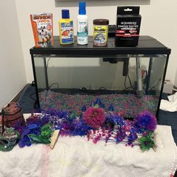 Fish Tank Start Kit 
