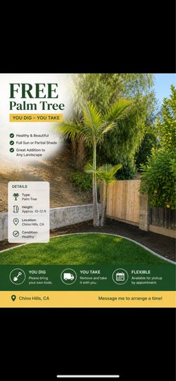 FREE PALM TREE – YOU DIG & YOU TAKE