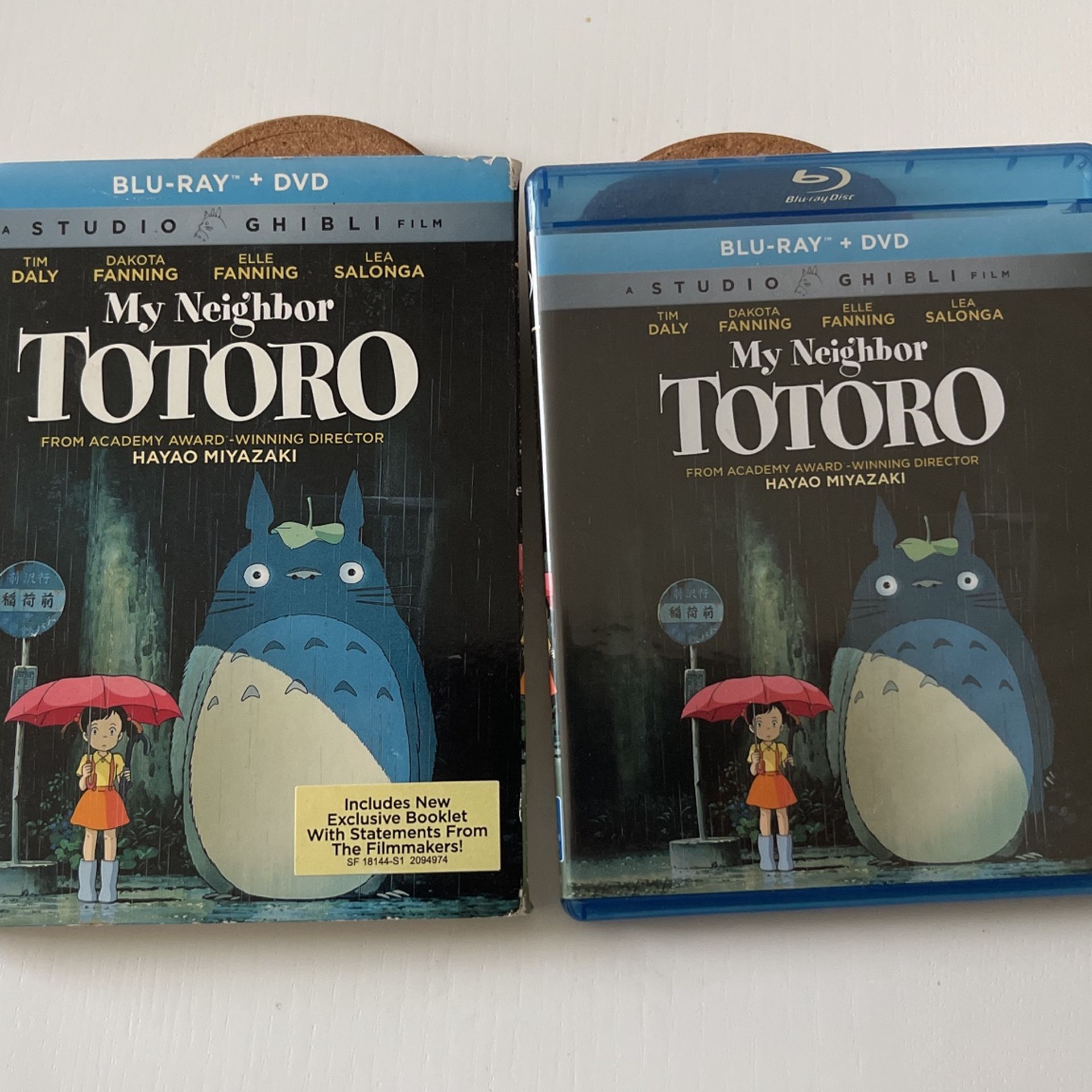 Ghibli Studios - Totoro