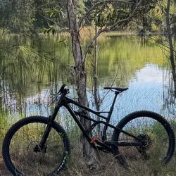 Cannondale Jekyll Carbon 29 3 